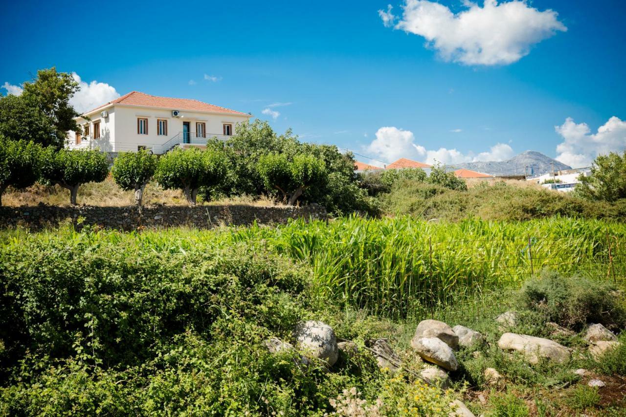 Villa Alexandra Kíssamos Extérieur photo